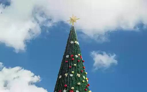 Tall Christmas Tree  from Chrome web store to be run with OffiDocs Chromium online