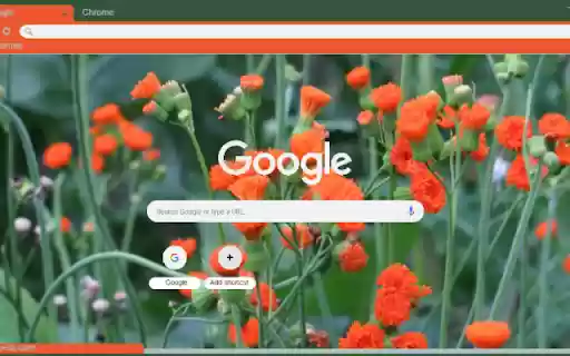 Tassel Flower  from Chrome web store to be run with OffiDocs Chromium online