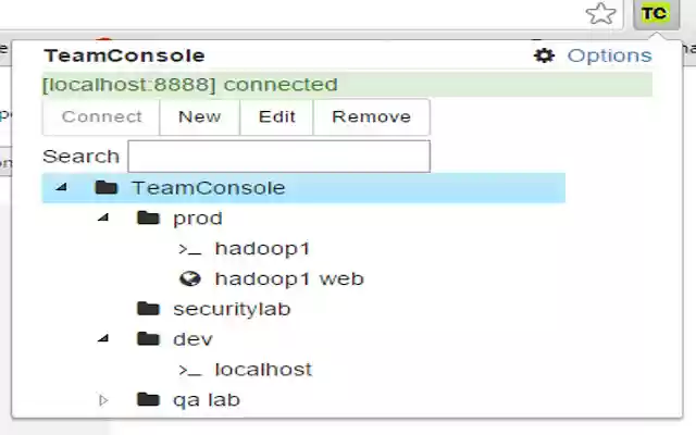 Chrome 网上商店的 TeamConsole 将与 OffiDocs Chromium 在线运行