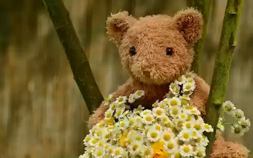Teddy bears and flowers  from Chrome web store to be run with OffiDocs Chromium online