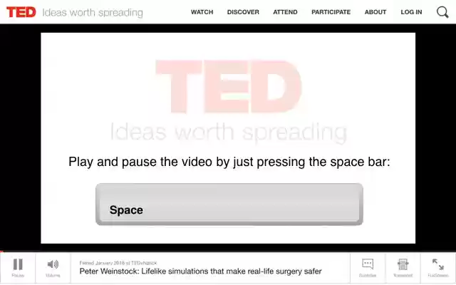 TED Player Control  from Chrome web store to be run with OffiDocs Chromium online