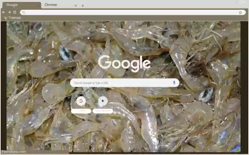 Tep from Chrome web store to be run with OffiDocs Chromium online Tep from Chrome web store to be run with OffiDocs Chromium online