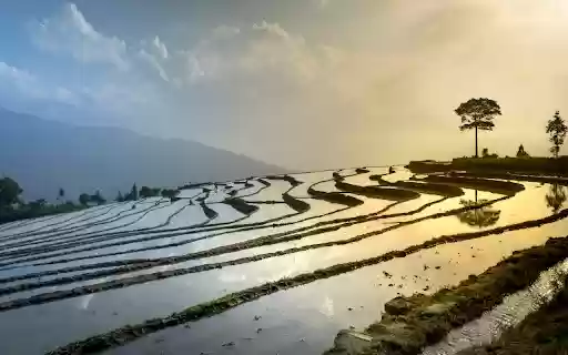Terraced fields soaked in water from Chrome web store to be run with OffiDocs Chromium online Terraced fields soaked in water from Chrome web store to be run with OffiDocs Chromium online