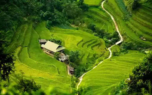 Terraced Rice Fields  from Chrome web store to be run with OffiDocs Chromium online