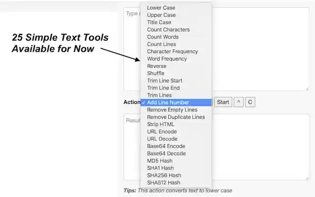 Text Converter Anytime  from Chrome web store to be run with OffiDocs Chromium online