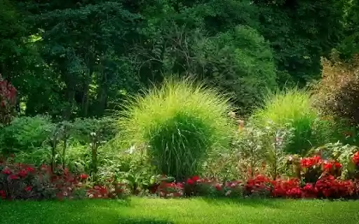 Textural Contrasts in a Garden Border  from Chrome web store to be run with OffiDocs Chromium online
