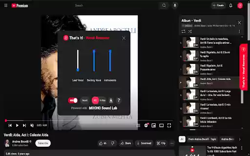 Thats it! Vocal Remover  from Chrome web store to be run with OffiDocs Chromium online