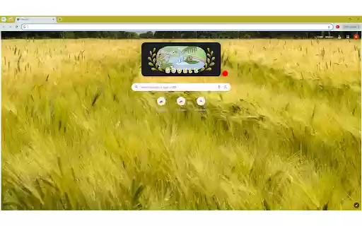 The artistic photograph showcases a vast field of barley  from Chrome web store to be run with OffiDocs Chromium online