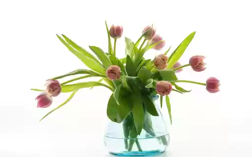 The art of flower arrangement from Chrome web store to be run with OffiDocs Chromium online The art of flower arrangement from Chrome web store to be run with OffiDocs Chromium online