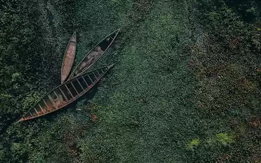 The boat is like a locust  from Chrome web store to be run with OffiDocs Chromium online