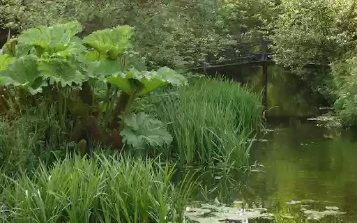 The canal is luxuriant from Chrome web store to be run with OffiDocs Chromium online The canal is luxuriant from Chrome web store to be run with OffiDocs Chromium online