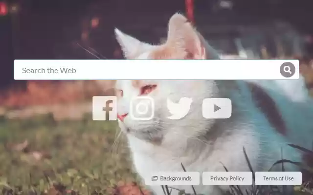 The Cat Tab  from Chrome web store to be run with OffiDocs Chromium online