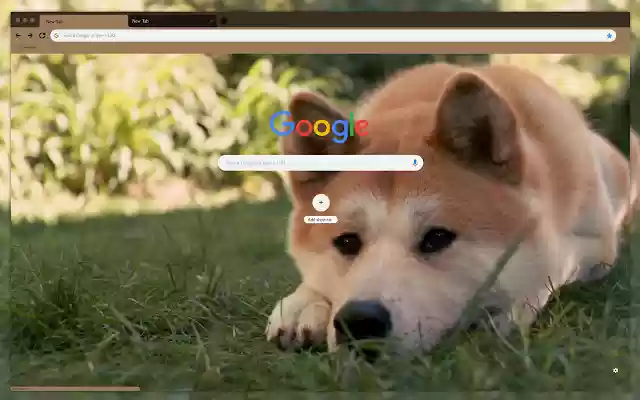 The dogs face from Chrome web store to be run with OffiDocs Chromium online The dogs face from Chrome web store to be run with OffiDocs Chromium online