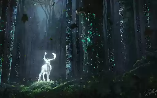The Enchanted Forest  from Chrome web store to be run with OffiDocs Chromium online
