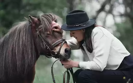 The girl and the good horse  from Chrome web store to be run with OffiDocs Chromium online