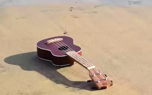 The guitar and the sea  from Chrome web store to be run with OffiDocs Chromium online