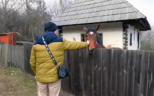 The horse and the little house  from Chrome web store to be run with OffiDocs Chromium online