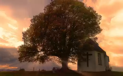 The house under the tree  from Chrome web store to be run with OffiDocs Chromium online
