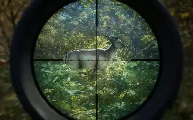 theHunter: Call of The Wild from Chrome web store to be run with OffiDocs Chromium online theHunter: Call of The Wild from Chrome web store to be run with OffiDocs Chromium online