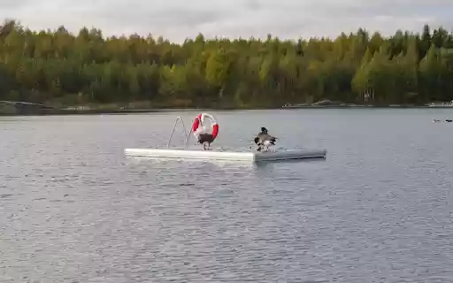 The inflatable raft and the goose  from Chrome web store to be run with OffiDocs Chromium online