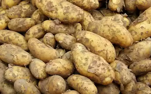 The potato crop was a success  from Chrome web store to be run with OffiDocs Chromium online