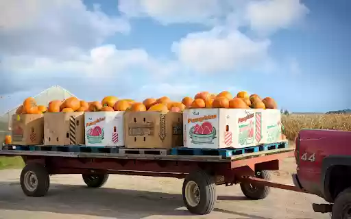 The pumpkin cart is full  from Chrome web store to be run with OffiDocs Chromium online