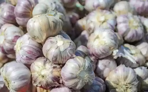 The purple radishes are delicious  from Chrome web store to be run with OffiDocs Chromium online