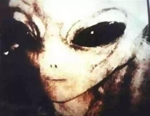 The real ileagle aliens from Chrome web store to be run with OffiDocs Chromium online The real ileagle aliens from Chrome web store to be run with OffiDocs Chromium online