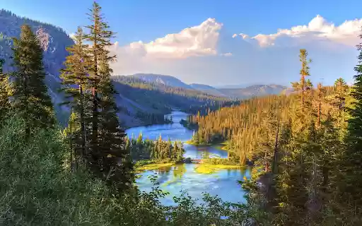 The river flows through the forest  from Chrome web store to be run with OffiDocs Chromium online
