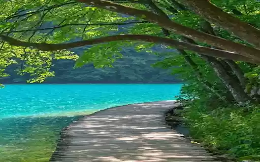 The road by the lake Wallpaper  from Chrome web store to be run with OffiDocs Chromium online