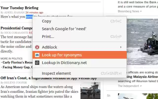 Thesaurus.net Extension  from Chrome web store to be run with OffiDocs Chromium online