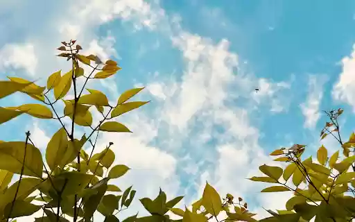 The sky is clear and high  from Chrome web store to be run with OffiDocs Chromium online