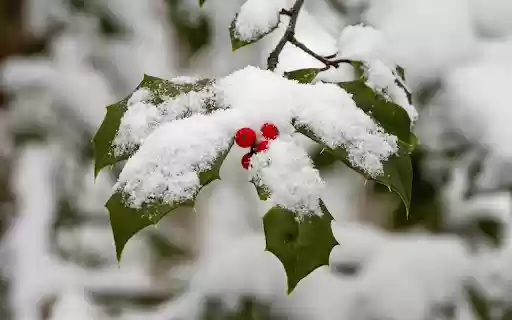 The space is filled with snow  from Chrome web store to be run with OffiDocs Chromium online