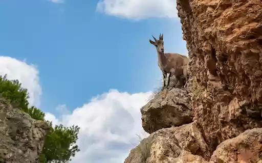 The Strong Mountain Goat  from Chrome web store to be run with OffiDocs Chromium online
