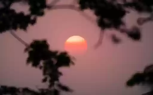 The sun is setting behind trees in the distance from Chrome web store to be run with OffiDocs Chromium online The sun is setting behind trees in the distance from Chrome web store to be run with OffiDocs Chromium online