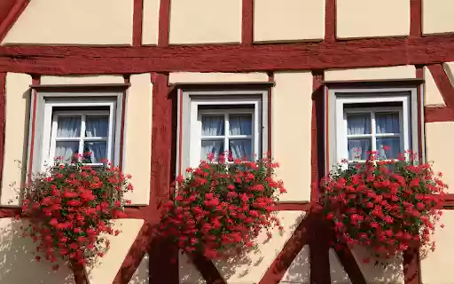 The windows are full of flowers  from Chrome web store to be run with OffiDocs Chromium online