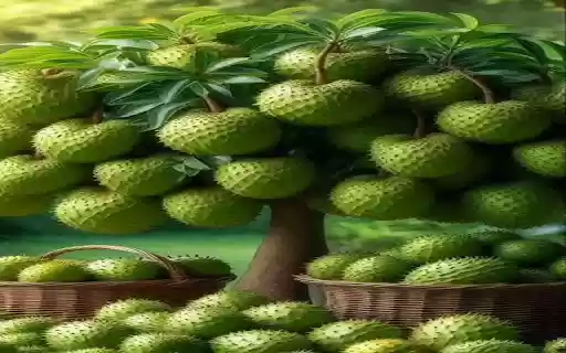 thorny fruit wallpaper  from Chrome web store to be run with OffiDocs Chromium online