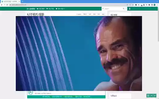 Thou Shalt Not Use Namuwiki  from Chrome web store to be run with OffiDocs Chromium online