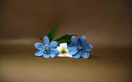 Three flowers  from Chrome web store to be run with OffiDocs Chromium online