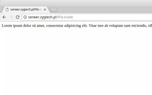 THTML  from Chrome web store to be run with OffiDocs Chromium online