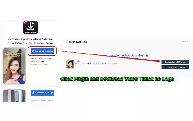 TikMate: Tik Tok Video Downloader  from Chrome web store to be run with OffiDocs Chromium online