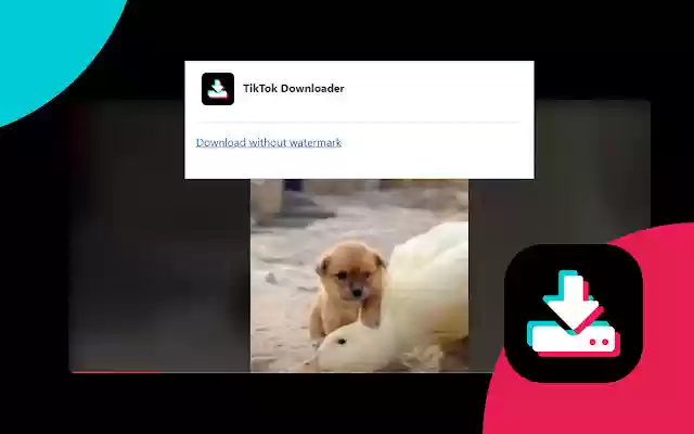 TikTok Downloader  from Chrome web store to be run with OffiDocs Chromium online