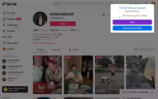 TikTok Follower Export Tool  from Chrome web store to be run with OffiDocs Chromium online