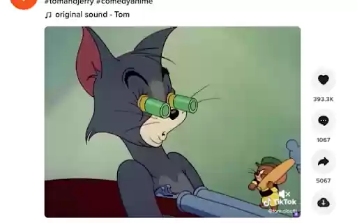 TikTok Saver  from Chrome web store to be run with OffiDocs Chromium online