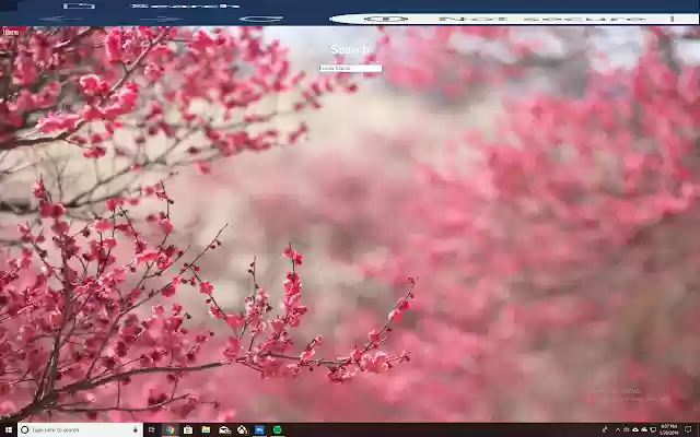 Titus Website  from Chrome web store to be run with OffiDocs Chromium online