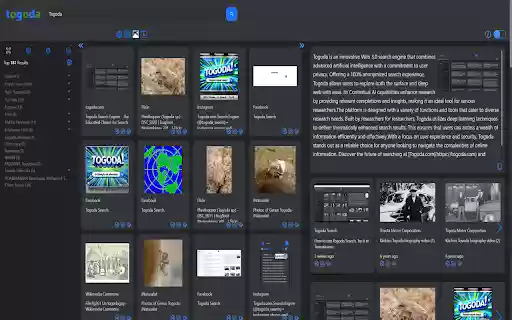 togoda extension  from Chrome web store to be run with OffiDocs Chromium online