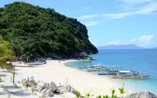 Tourist boat  from Chrome web store to be run with OffiDocs Chromium online