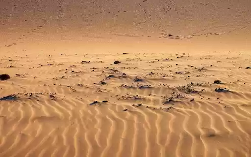 Traces Across Golden Dunes  from Chrome web store to be run with OffiDocs Chromium online