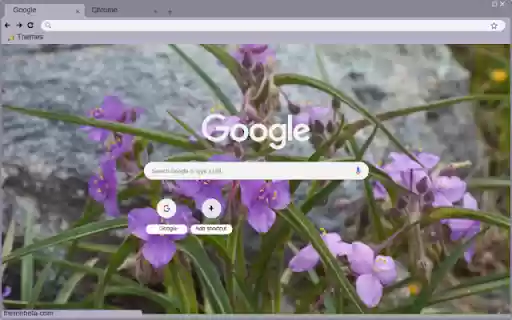 Tradescantia  from Chrome web store to be run with OffiDocs Chromium online