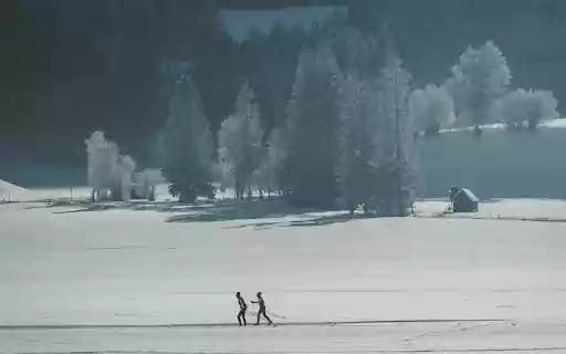 Tranquil Winter Landscape with Hikers  from Chrome web store to be run with OffiDocs Chromium online